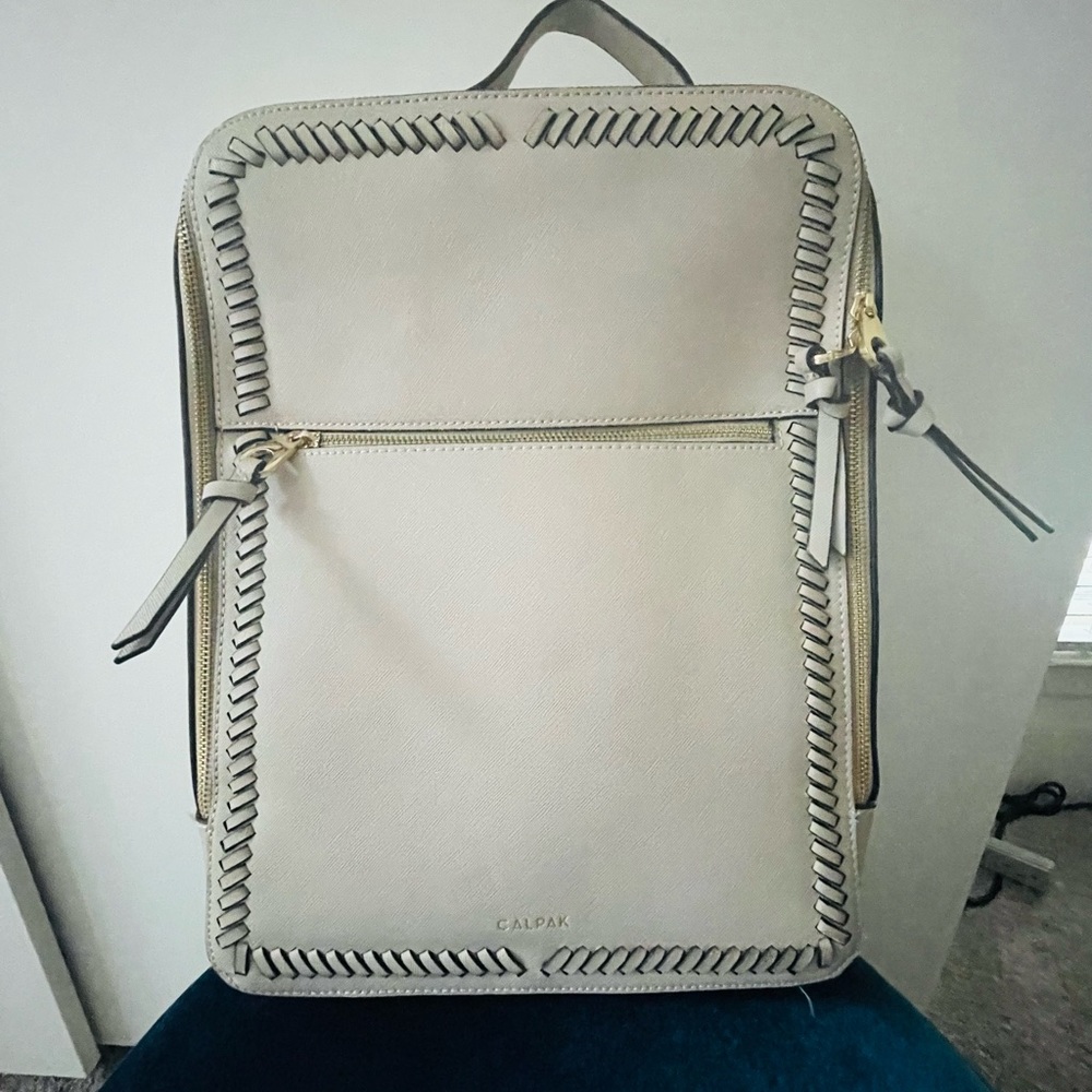 Calpak kaya laptop backpack